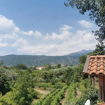 Angelino Etna Holiday home *